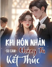 Khi Hôn Nhân Chúng Ta Kết Thúc - Lâm Hi Nghiên